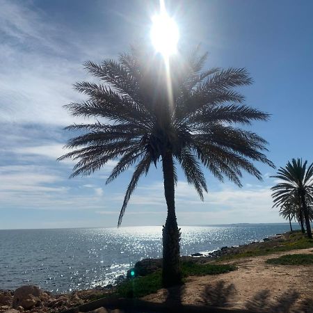 Alicante , Vue Mer & Tabarca, 4 Personnes 圣波拉 外观 照片